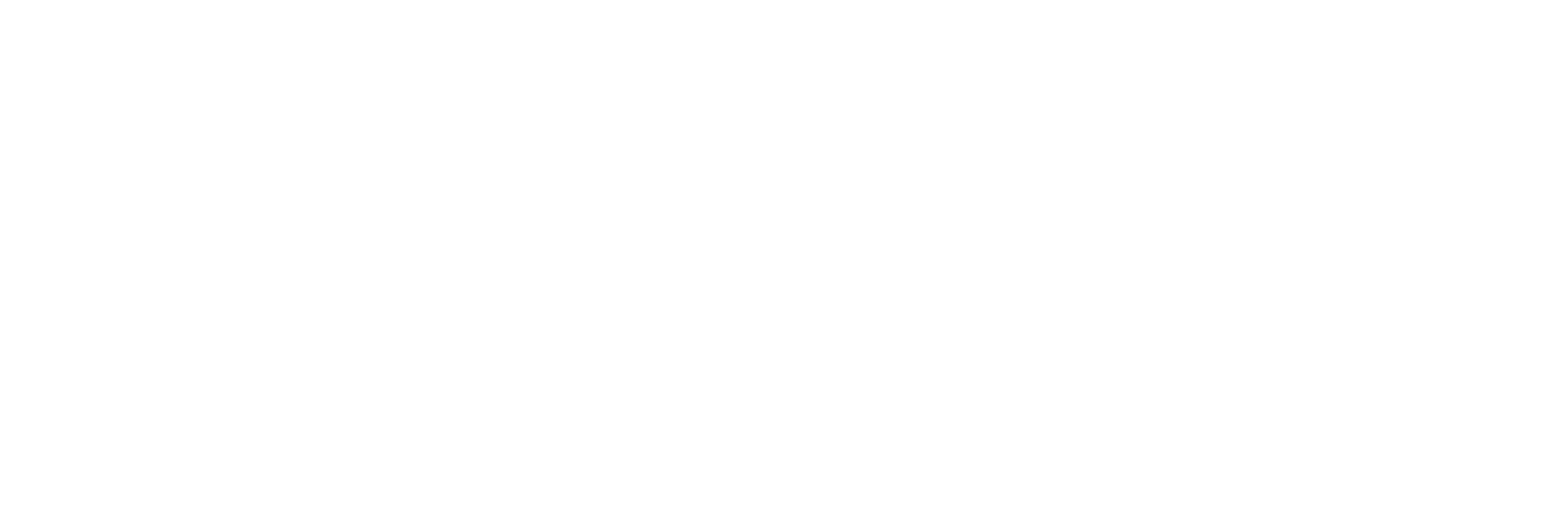 Pulse Visit logo